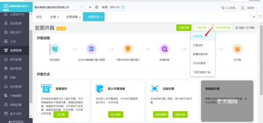 電子發(fā)票錄入軟件 應(yīng)用軟件服務(wù)解析